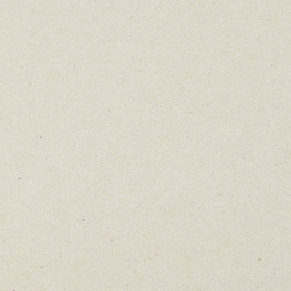 Vaessen Creative Grijskarton A4 (20pcs) (29993-010) Vaessen Creative Grijskarton A4 (20pcs) (29993-010)