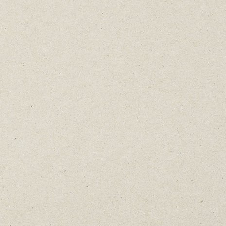 Vaessen Creative Grijskarton A4 (20pcs) (29993-010) Vaessen Creative Grijskarton A4 (20pcs) (29993-010)