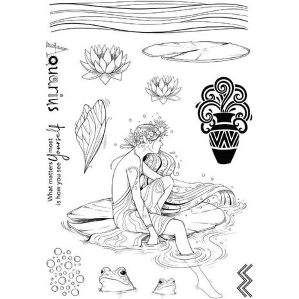 Pink Ink Designs Astrology Series Aquarius "Independence" A5 Clear Stamps (PI204)