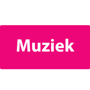 Muziek Mechaniekjes