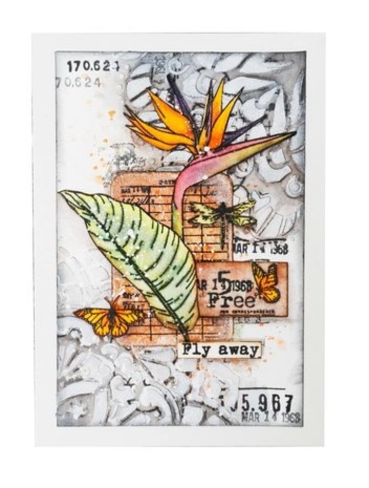 Studio Light Feelings of Freedom Clear Stamps Script Strelitzia (JMA-FOF-STAMP420) Studio Light Feelings of Freedom Clear Stamps Script Strelitzia (JMA-FOF-STAMP420)