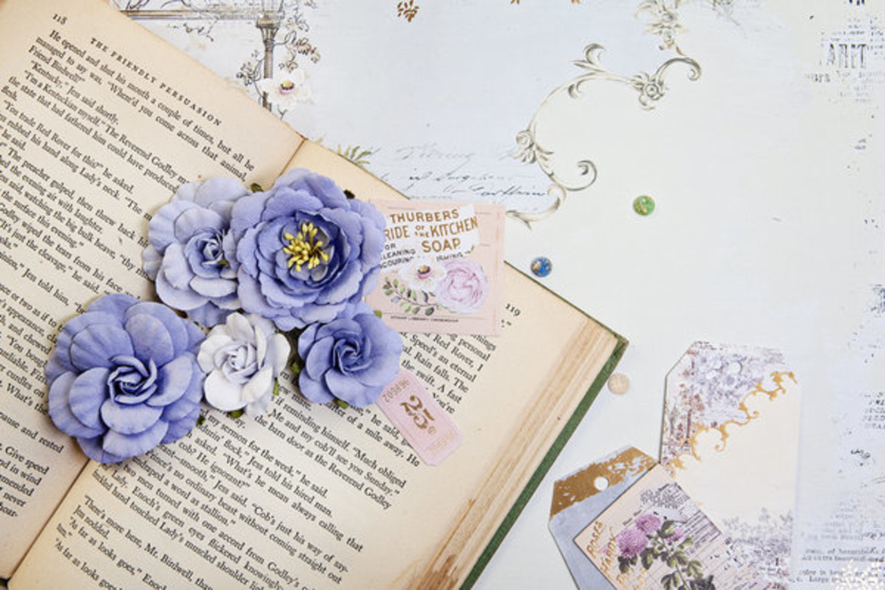 Prima Marketing Inc The Plant Department Say It In Crystals (662035) Prima Marketing Inc The Plant Department Say It In Crystals (662035)