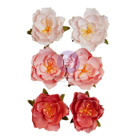 Prima Marketing Inc The Plant Department Flowers Rooted (664398) Prima Marketing Inc The Plant Department Flowers Rooted (664398)