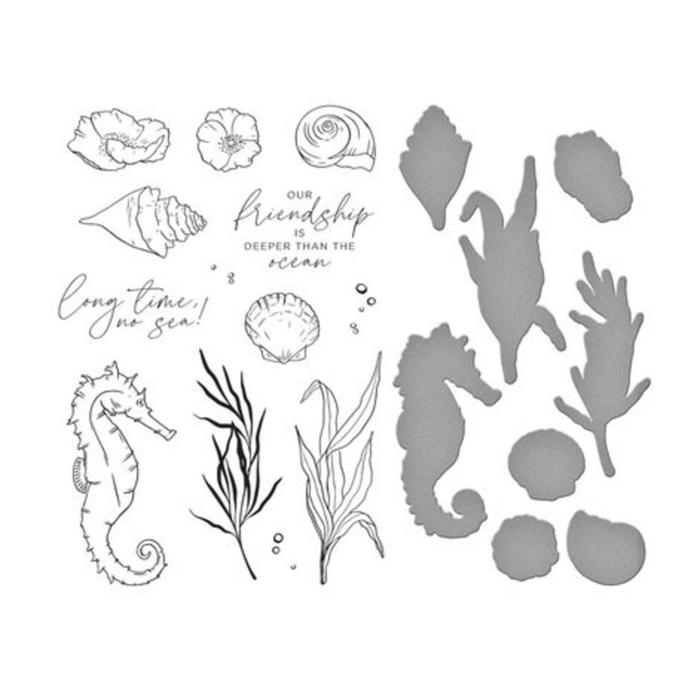 Spellbinders Seahorse Kisses Seahorse Garden Clear Stamp & Die Set (SDS-182) Spellbinders Seahorse Kisses Seahorse Garden Clear Stamp & Die Set (SDS-182)
