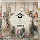 Paper Favourites Cats 6x6 Inch Paper Pack (PF244)