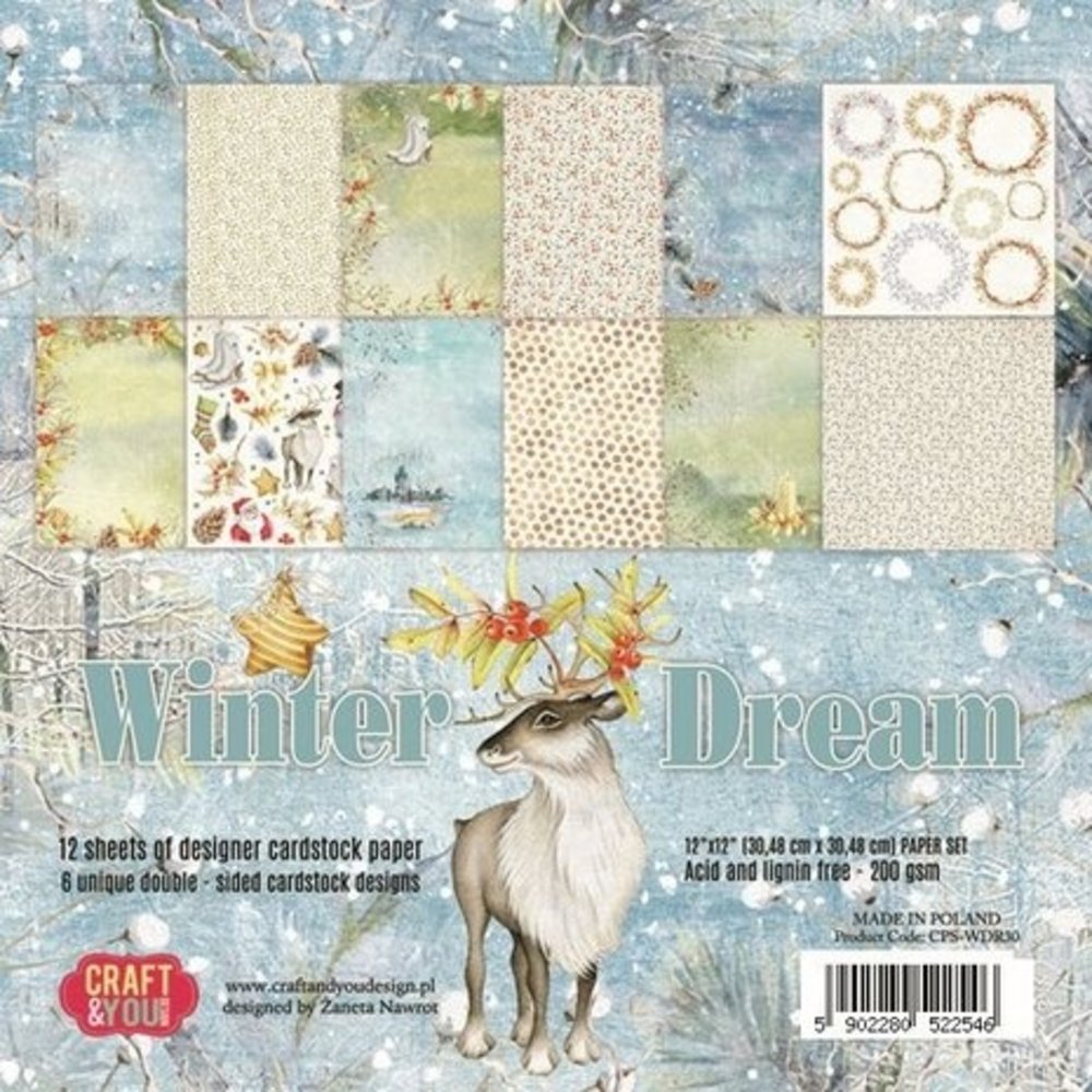 Craft & You Winter Dream 12x12 Inch Paper Pack (CPS-WDR30)