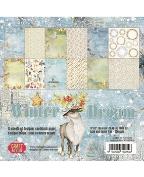 Craft & You Winter Dream 12x12 Inch Paper Pack (CPS-WDR30)