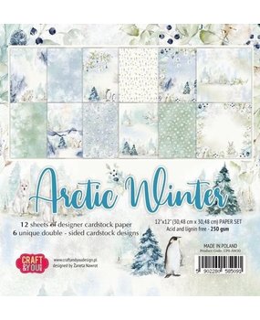 Craft & You Arctic Winter 12x12 Inch Paper Pack (CPS-AW30)