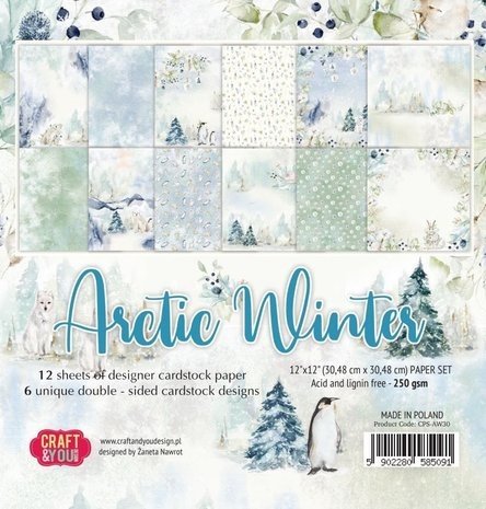 Craft & You Arctic Winter 12x12 Inch Paper Pack (CPS-AW30)