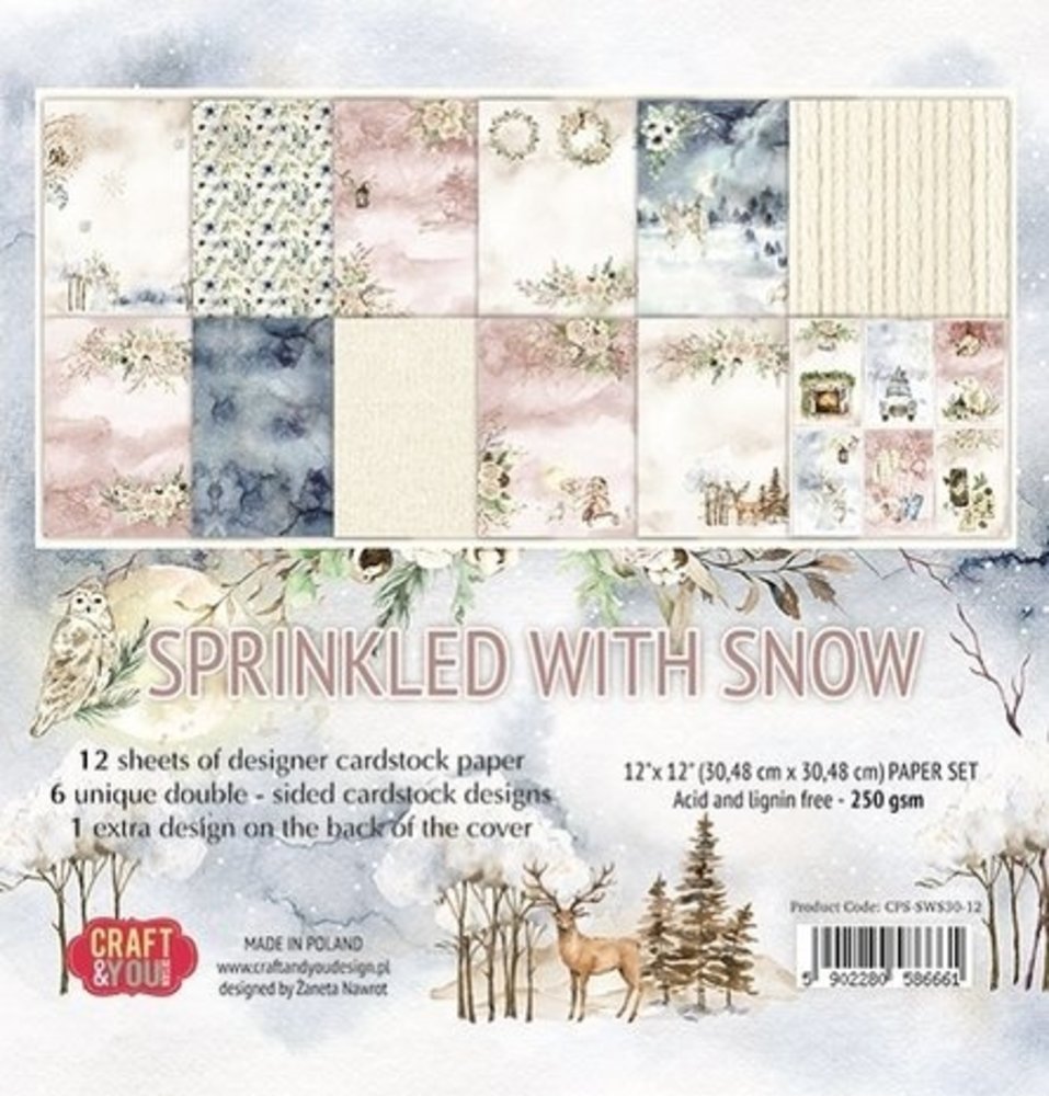 Craft & You Sprinkled With Snow 12x12 Inch Paper Pack (CPS-SWS30-12)