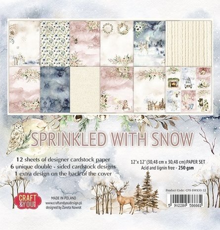 Craft & You Sprinkled With Snow 12x12 Inch Paper Pack (CPS-SWS30-12)
