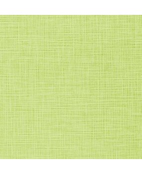 Papers For You Binding Linen 70x50cm Apple Green (PFY-LIN-10M)* Papers For You Binding Linen 70x50cm Apple Green (PFY-LIN-10M)*