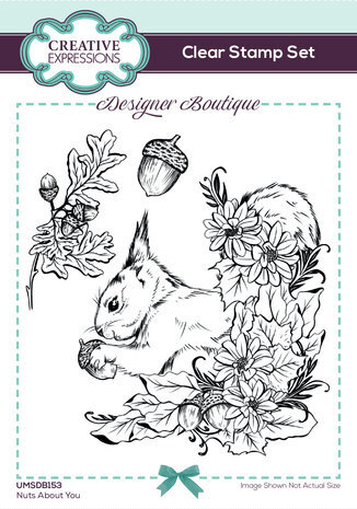Creative Expressions Designer Boutique Clear Stamp A6 Nuts About You (UMSDB153) Creative Expressions Designer Boutique Clear Stamp A6 Nuts About You (UMSDB153)