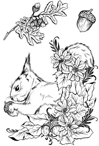 Creative Expressions Designer Boutique Clear Stamp A6 Nuts About You (UMSDB153) Creative Expressions Designer Boutique Clear Stamp A6 Nuts About You (UMSDB153)