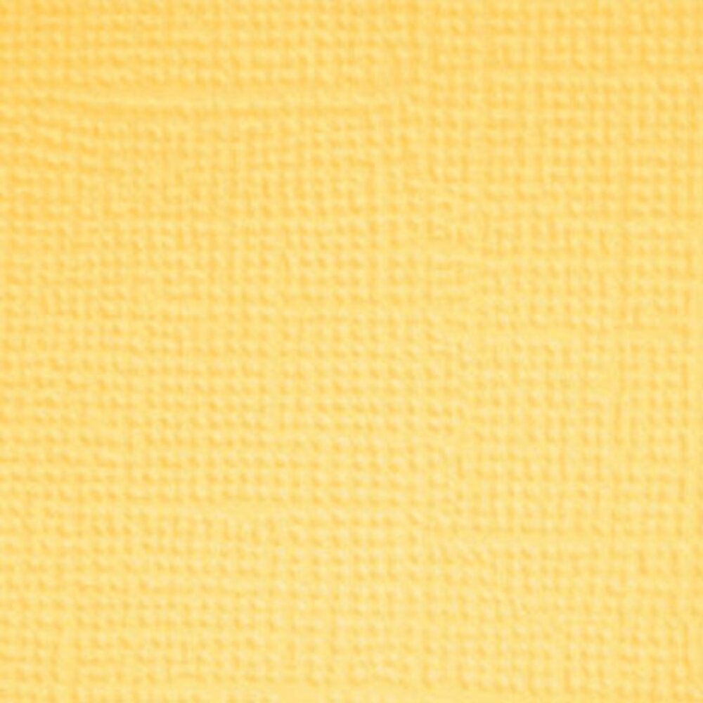 Doodlebug Design Inc. Pretty Kitty 12x12 Inch Textured Cardstock Solid Paper Pack (7640) Doodlebug Design Inc. Pretty Kitty 12x12 Inch Textured Cardstock Solid Paper Pack (7640)