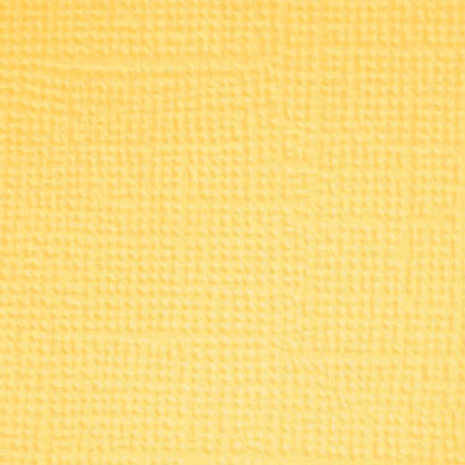 Doodlebug Design Inc. Pretty Kitty 12x12 Inch Textured Cardstock Solid Paper Pack (7640) Doodlebug Design Inc. Pretty Kitty 12x12 Inch Textured Cardstock Solid Paper Pack (7640)