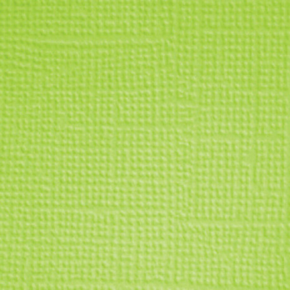 Doodlebug Design Inc. Pretty Kitty 12x12 Inch Textured Cardstock Solid Paper Pack (7640) Doodlebug Design Inc. Pretty Kitty 12x12 Inch Textured Cardstock Solid Paper Pack (7640)