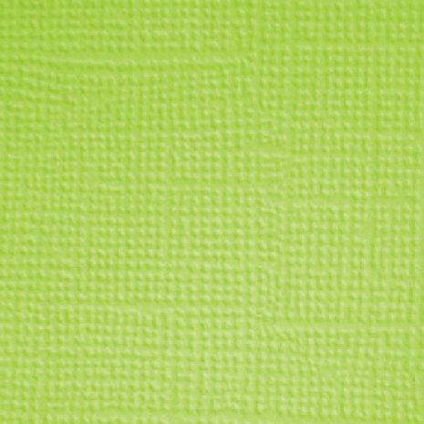 Doodlebug Design Inc. Pretty Kitty 12x12 Inch Textured Cardstock Solid Paper Pack (7640) Doodlebug Design Inc. Pretty Kitty 12x12 Inch Textured Cardstock Solid Paper Pack (7640)