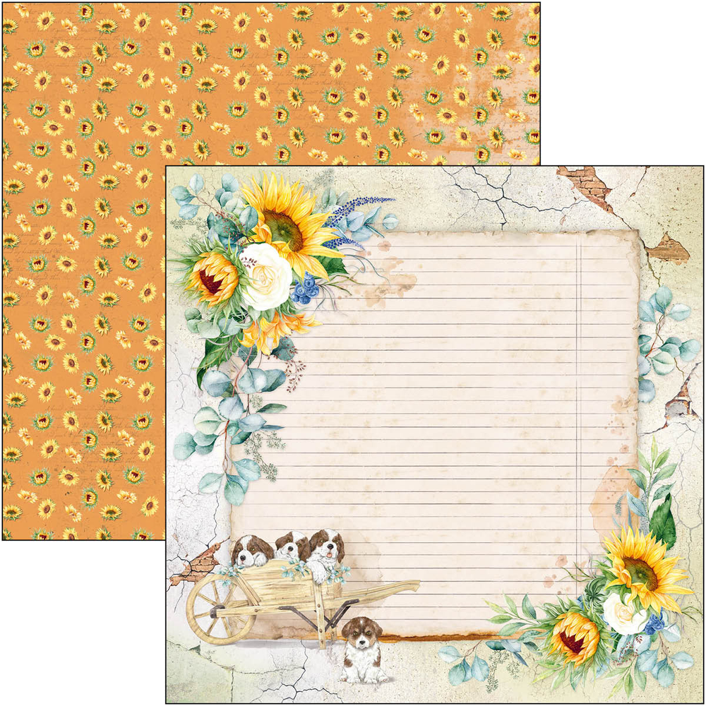 Ciao Bella Papercrafting Farmhouse Garden 12x12 Inch Paper Pad (CBPM063)