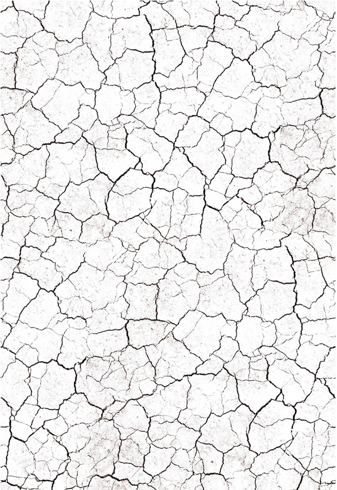 Ciao Bella Papercrafting Farmhouse Garden A4 Vellum Paper (CBV003) Ciao Bella Papercrafting Farmhouse Garden A4 Vellum Paper (CBV003)