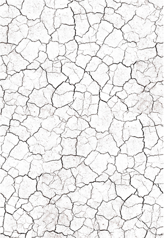 Ciao Bella Papercrafting Farmhouse Garden A4 Vellum Paper (CBV003) Ciao Bella Papercrafting Farmhouse Garden A4 Vellum Paper (CBV003)