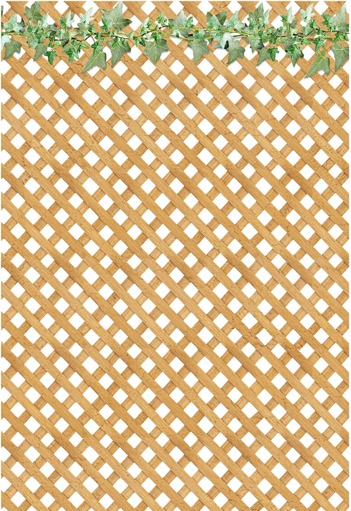 Ciao Bella Papercrafting Farmhouse Garden A4 Vellum Paper (CBV003) Ciao Bella Papercrafting Farmhouse Garden A4 Vellum Paper (CBV003)