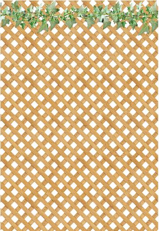 Ciao Bella Papercrafting Farmhouse Garden A4 Vellum Paper (CBV003) Ciao Bella Papercrafting Farmhouse Garden A4 Vellum Paper (CBV003)