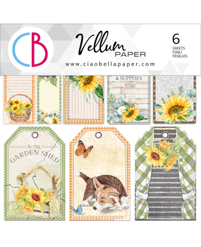Ciao Bella Papercrafting Farmhouse Garden 6x6 Inch Vellum Paper (CBVQ003)