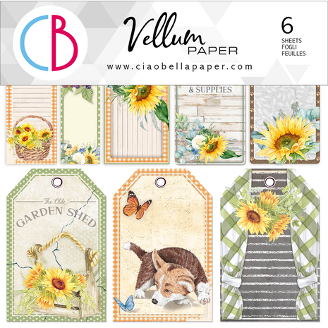 Ciao Bella Papercrafting Farmhouse Garden 6x6 Inch Vellum Paper (CBVQ003)