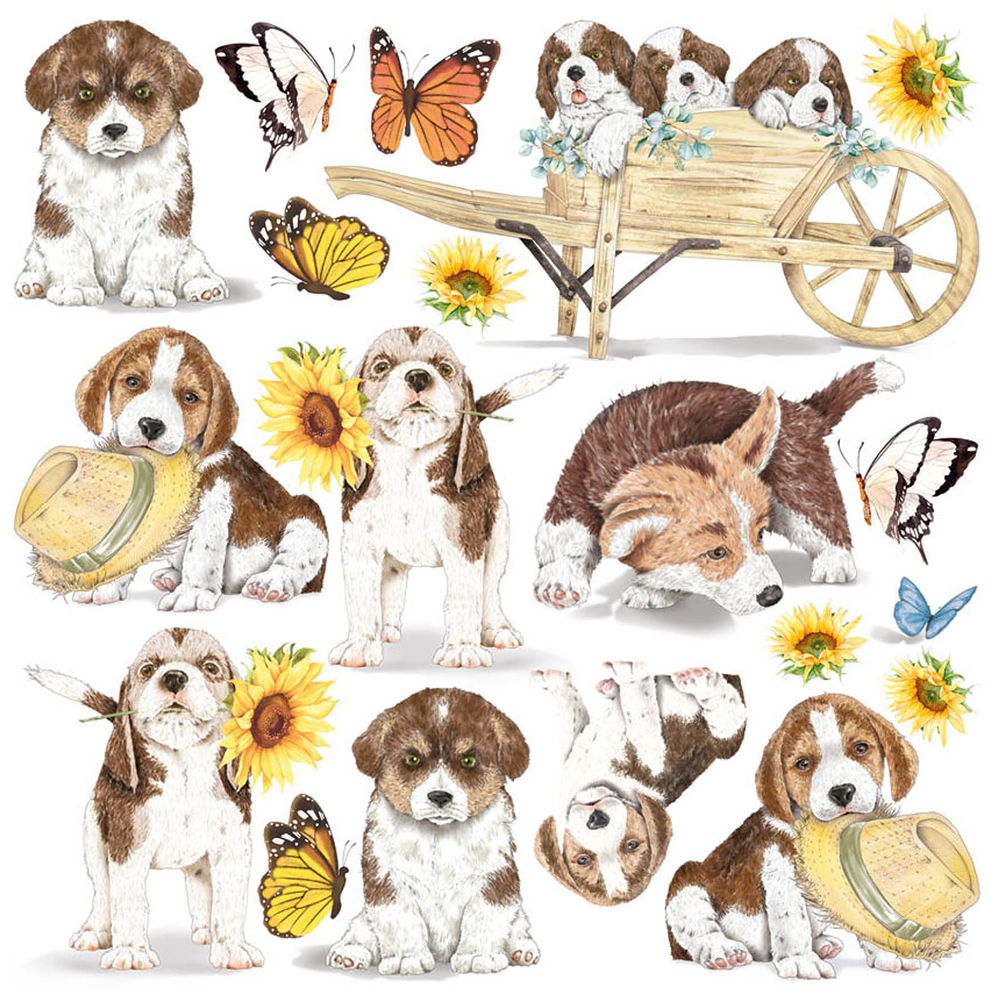 Ciao Bella Papercrafting Farmhouse Garden 6x6 Inch Vellum Paper (CBVQ003)