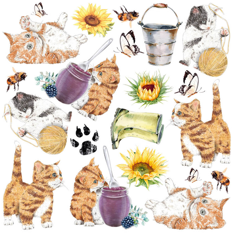 Ciao Bella Papercrafting Farmhouse Garden 6x6 Inch Vellum Paper (CBVQ003)