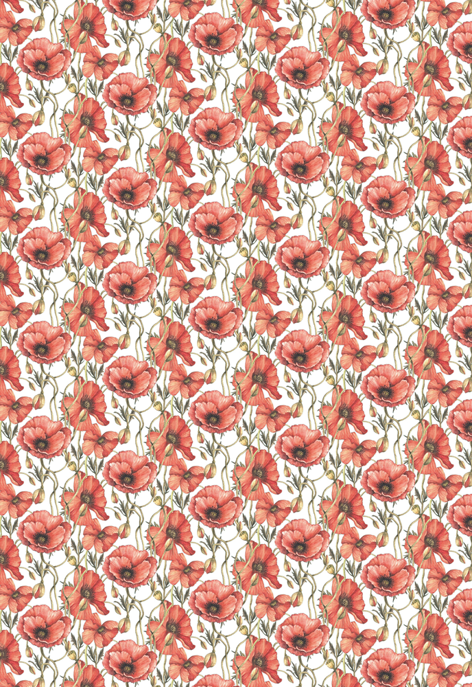 Ciao Bella Papercrafting Enchanted Land A4 Vellum Paper (CBV004) Ciao Bella Papercrafting Enchanted Land A4 Vellum Paper (CBV004)