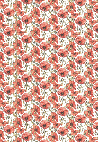 Ciao Bella Papercrafting Enchanted Land A4 Vellum Paper (CBV004) Ciao Bella Papercrafting Enchanted Land A4 Vellum Paper (CBV004)