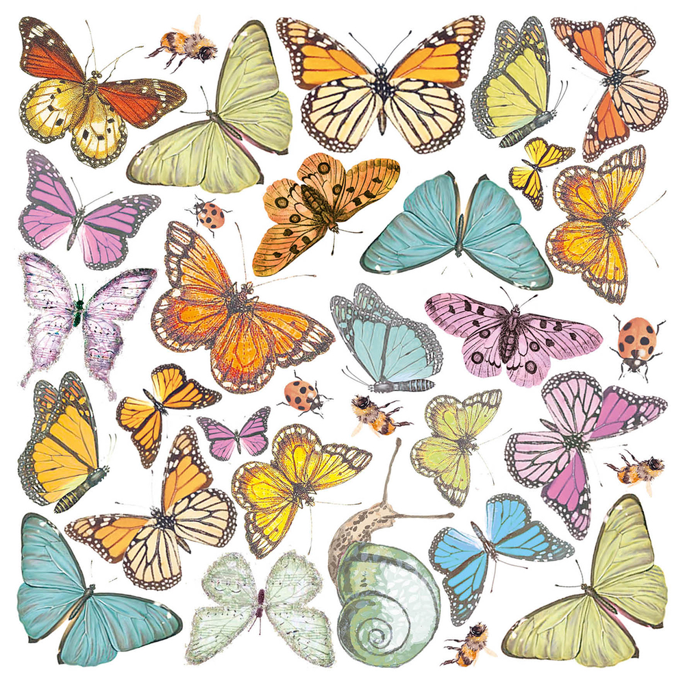 Ciao Bella Papercrafting Enchanted Land 6x6 Inch Vellum Paper (CBVQ004) Ciao Bella Papercrafting Enchanted Land 6x6 Inch Vellum Paper (CBVQ004)