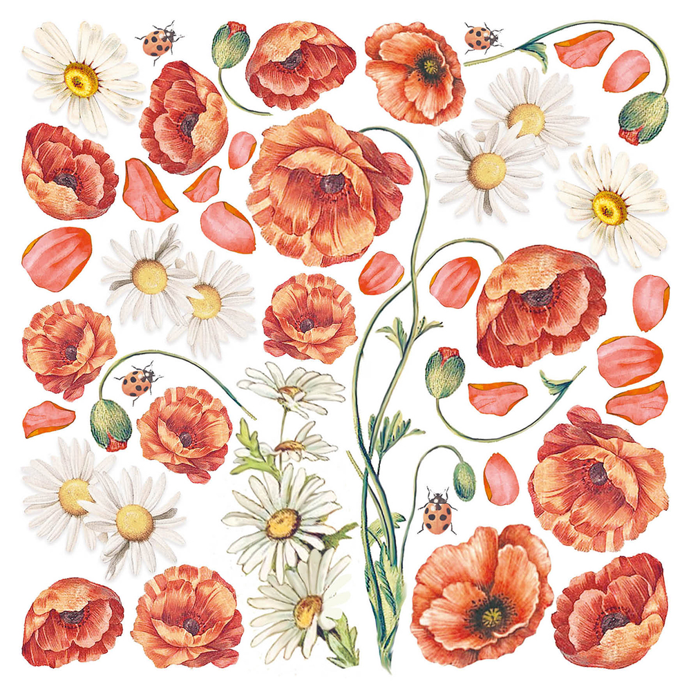 Ciao Bella Papercrafting Enchanted Land 6x6 Inch Vellum Paper (CBVQ004) Ciao Bella Papercrafting Enchanted Land 6x6 Inch Vellum Paper (CBVQ004)