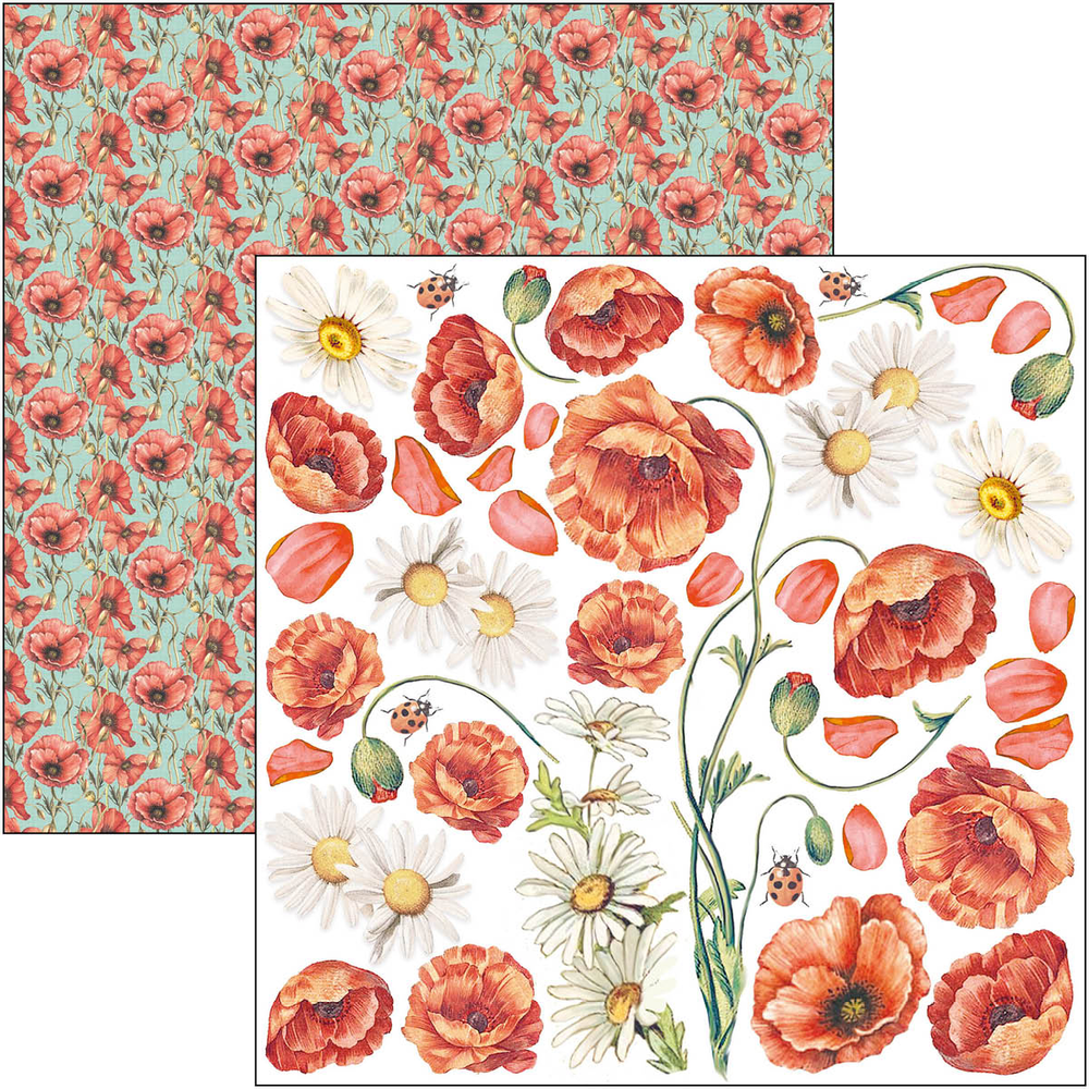 Ciao Bella Papercrafting Enchanted Land 6x6 Inch Paper Pad (CBQE064) Ciao Bella Papercrafting Enchanted Land 6x6 Inch Paper Pad (CBQE064)