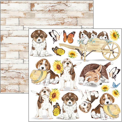 Ciao Bella Papercrafting Farmhouse Garden 6x6 Inch Paper Pad (CBQE063)