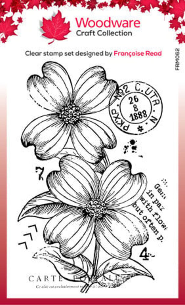 Woodware Dogwood Flowers Clear Stamps (FRM062)