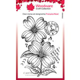 Woodware Dogwood Flowers Clear Stamps (FRM062)