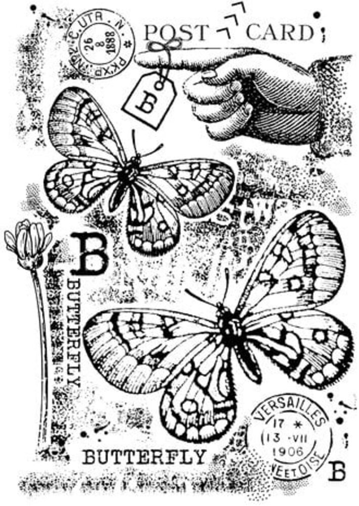 Woodware B is For Butterfly Clear Stamps (FRS991)