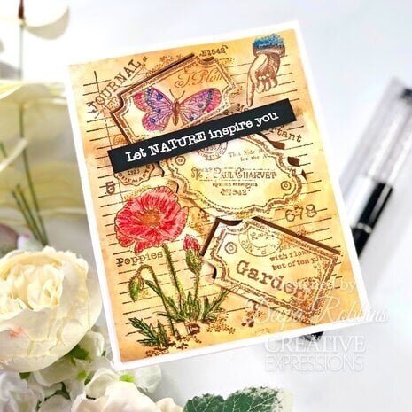 Woodware Label Page Clear Stamps (FRS993)