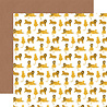 Echo Park Bible Stories: Daniel And The Lion's Den 12x12 Inch Collection Kit (BSD315016) Echo Park Bible Stories: Daniel And The Lion's Den 12x12 Inch Collection Kit (BSD315016)