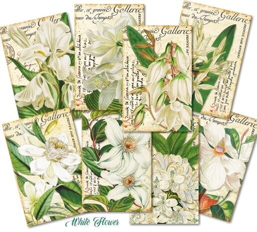 Decorer White Flower Paper Pack (7x10,8cm) (DECOR-M120) Decorer White Flower Paper Pack (7x10,8cm) (DECOR-M120)