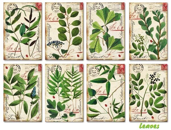 Decorer Leaves Paper Pack (7x10,8cm) (DECOR-M124) Decorer Leaves Paper Pack (7x10,8cm) (DECOR-M124)