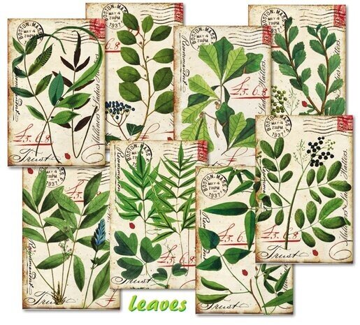 Decorer Leaves Paper Pack (7x10,8cm) (DECOR-M124) Decorer Leaves Paper Pack (7x10,8cm) (DECOR-M124)