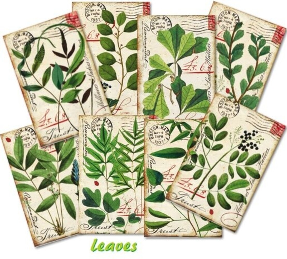 Decorer Leaves Paper Pack (7x10,8cm) (DECOR-M124) Decorer Leaves Paper Pack (7x10,8cm) (DECOR-M124)