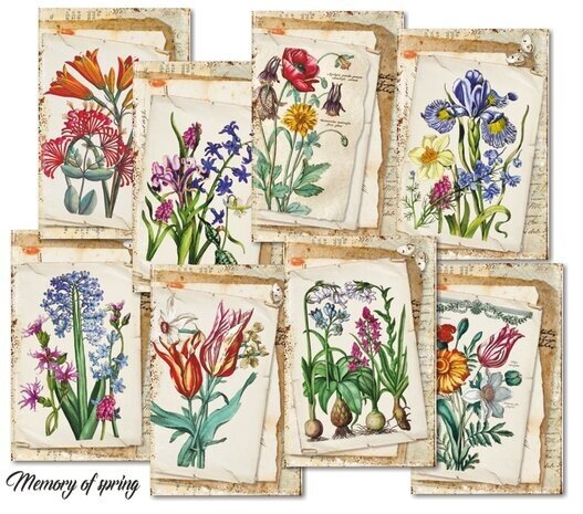 Decorer Memory of Spring Paper Pack (7x10,8cm) (DECOR-M135)