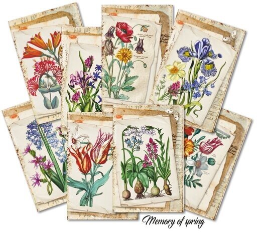 Decorer Memory of Spring Paper Pack (7x10,8cm) (DECOR-M135)