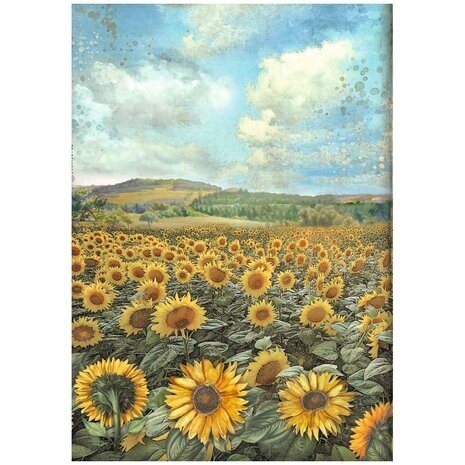Stamperia Sunflower Art Rice Paper Selection A4 (DFSA4XSF) Stamperia Sunflower Art Rice Paper Selection A4 (DFSA4XSF)