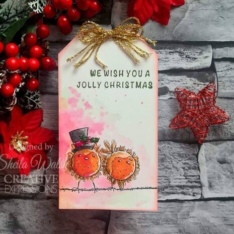 Woodware Bubble Robins In A Row Clear Stamps (JGS847) Woodware Bubble Robins In A Row Clear Stamps (JGS847)